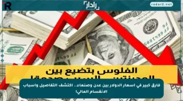 فارق كبير في أسعار الدولار بين عدن وصنعاء.. اكتشف التفاصيل وأسباب الانقسام المالي!